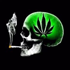 SmokeAlpine's tweet photo. Stay High, Stay Happy 💚💚

Come to Alpine Smoke, Visit our Cabin
🏔🏔🏔🏔🍁🍁🍁🏔🏔🏔🏔🏡 https://t.co/wCZJ3yPLgk