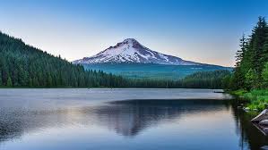 OregonShine's tweet photo. If you know a small business person who could use some free, expert advice that lives in Oregon then you should tell them about us.
Get FREE, confidential, and statewide business consultation from people who have been in business.
#Oregon #PDX #SMEs #business #entrepreneur https://t.co/cmlDJNx8sb