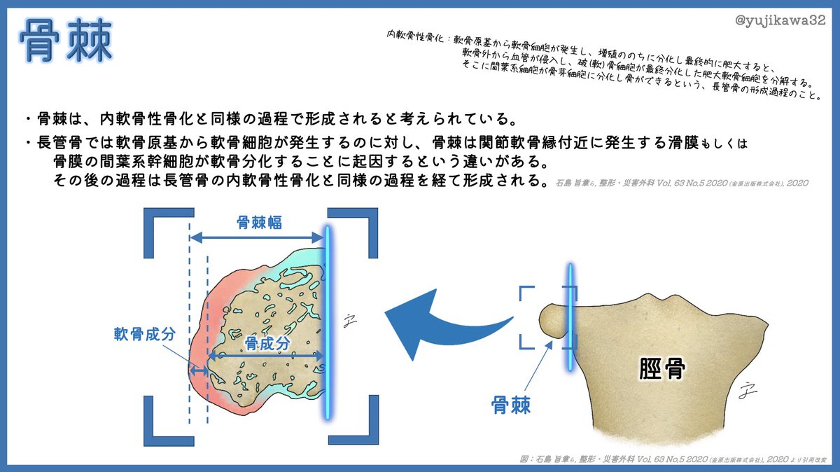 おりた ビハーラ Dnm施術 Vihara Dnm Timeline The Visualized Twitter Analytics