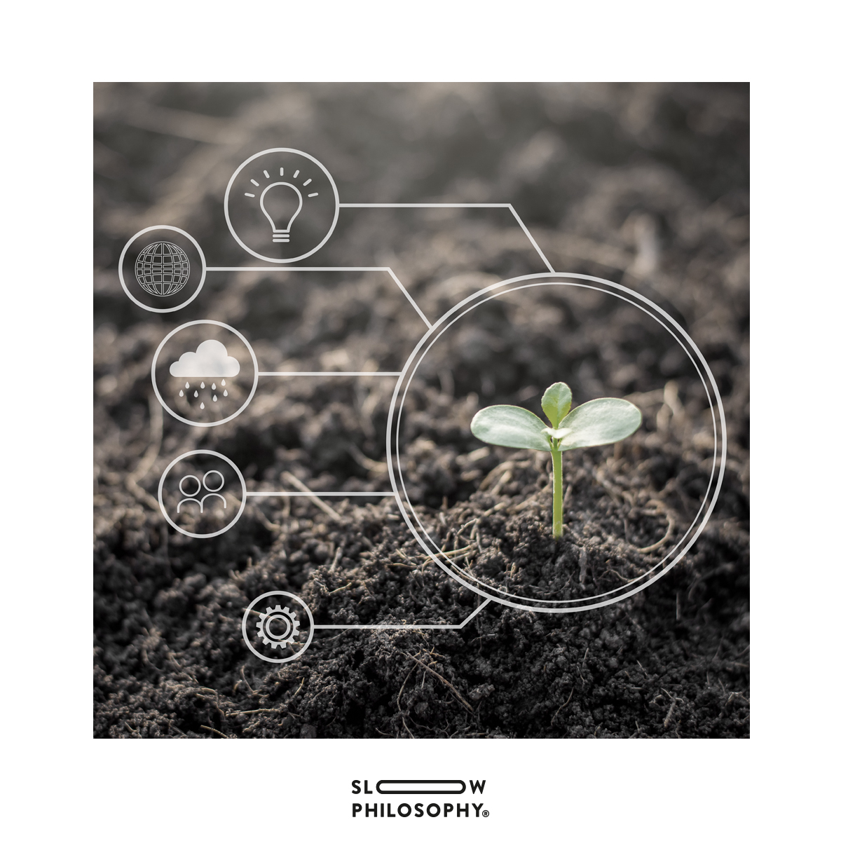 SlowPhilosophy's tweet photo. Los patrones de datos permiten optimizar los procesos involucrados en el desarrollo de los cultivos, rastrear enfermedades que pueden acechar a tu terreno o adelantarse a cambios drásticos en el clima. #MachineLearning.

https://t.co/Bqcs3OMy2T

#TheCrop #InteligenciaArtificial https://t.co/8NhArHStOe