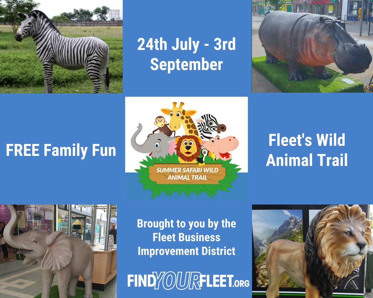 FREE family fun in Fleet this summer holidays
We're delighted that Fleet's Wild Animal Summer Safari starts tomorrow with 10 wild animals placed around the town. Collect your trail booklet in Fleet or download from our website (findyourfleet.org).