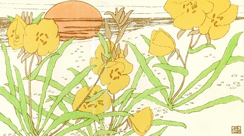 弥生美術館 竹久夢二美術館 7月24日の誕生花のひとつ マツヨイグサ 竹久夢二 の最も有名な詩は 宵待草 ですが ヨイマチグサというのは実は夢二の造語 夏の宵に咲くこの花をタイトルに 叶わず終わった夏の恋のエピソードを詠んだ詩です 後に曲が