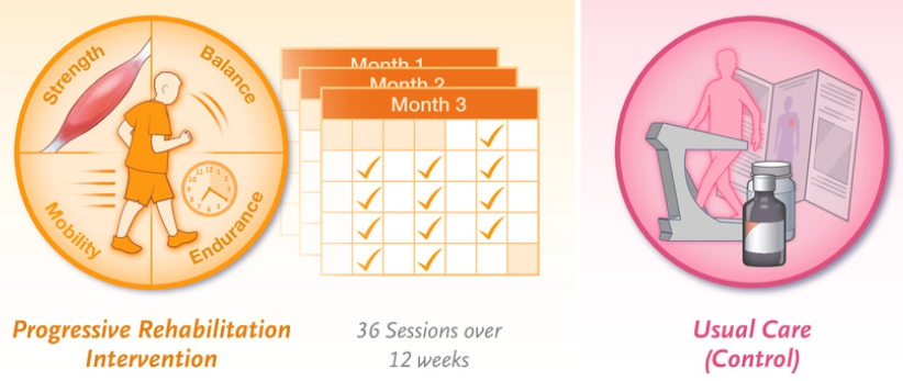 Máster Ejercicio Terapéutico tweet media