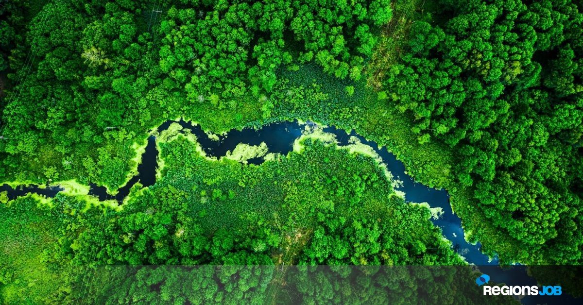 parisjob's tweet photo. Transition écologique : ces 5 métiers qui recrutent 🌿
https://t.co/VbvUbeLtha https://t.co/Zsz3B325nR