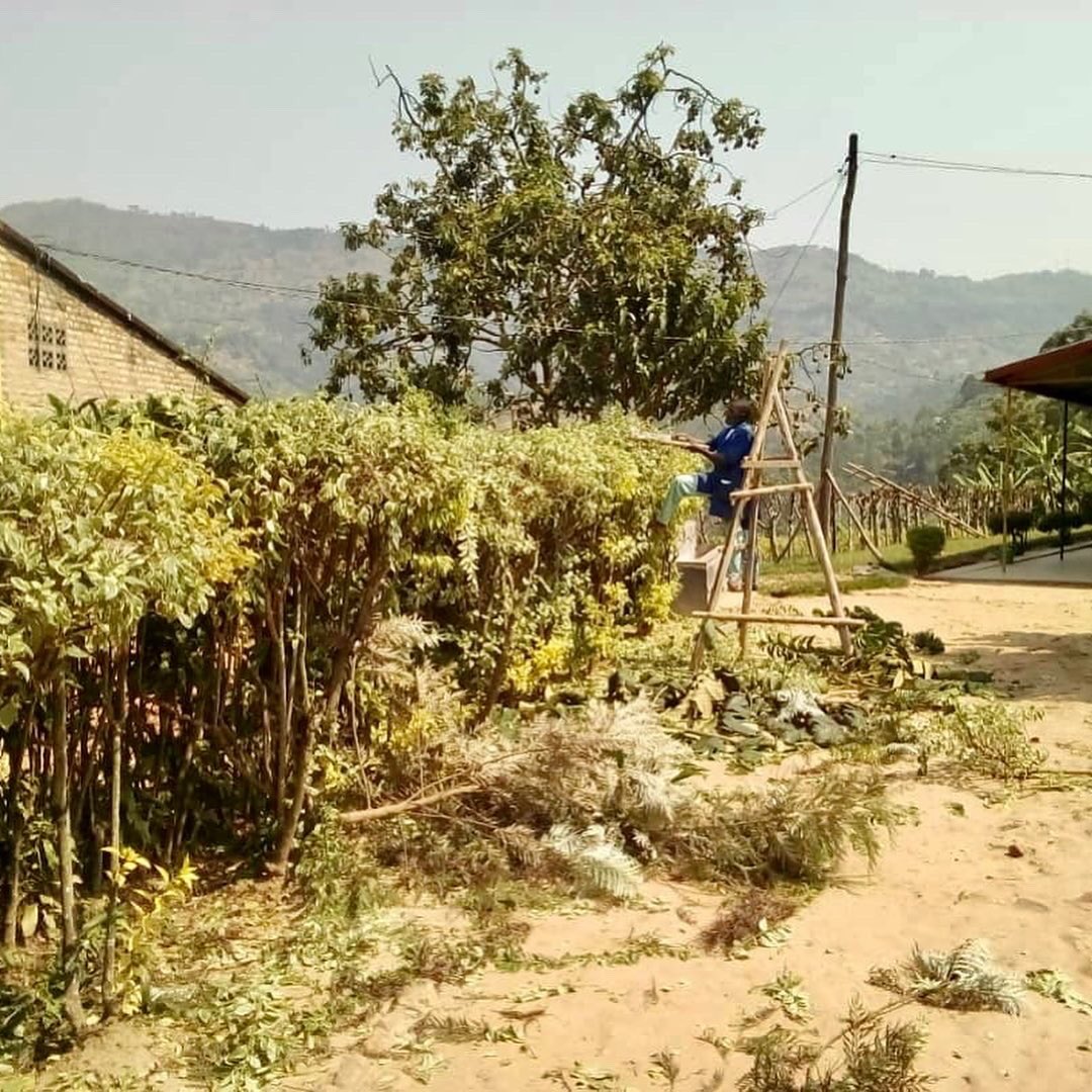 Aquí tenemos a los trabajadores de la cocina de Museke que también colaboran en el mantenimiento de las instalaciones y el huerto ! Murakoze cyane ! Muchas gracias ! Feliz viernes a todos y todas ! 🌸❤️
