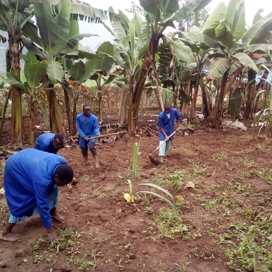 Museke_ONG's tweet photo. Aquí tenemos a los trabajadores de la cocina de Museke que también colaboran en el mantenimiento de las instalaciones y el huerto ! Murakoze cyane ! Muchas gracias ! Feliz viernes a todos y todas ! 🌸❤️ https://t.co/AMYVY3x2sa