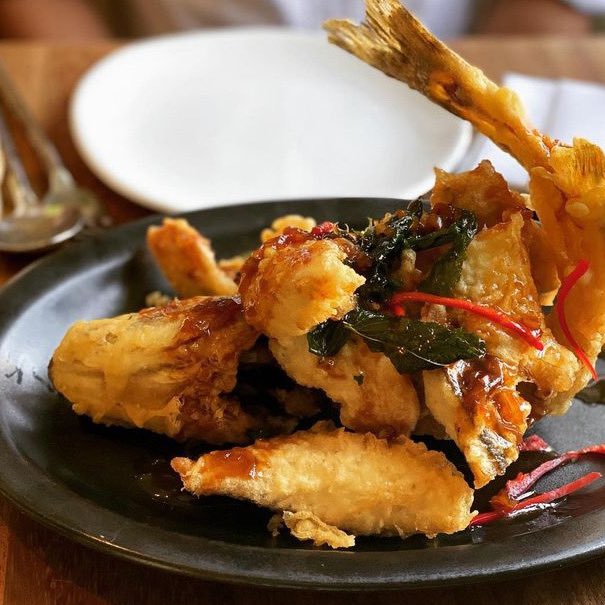 Up close and personal. We're always thrilled to see our guests share their #PataraMoments. We particularly love this picture, captured by @musewithmolly 😍