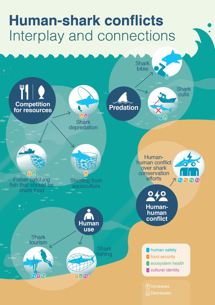 New #sharkscience - Complex human-shark conflicts confound conservation action. A perspectives article from: <a href="/MichelleHeupel/">Michelle Heupel</a> <a href="/davekendal/">Dave Kendal</a> and I.
doi.org/10.3389/fcosc.…
#OA #HumanWildlifeConflict #ConservationConflict
@CSTFA_JCU <a href="/CMS_UTas/">CMS_UTas</a> <a href="/jcu/">James Cook Uni</a> <a href="/IUCNShark/">IUCN SSC Shark Specialist Group</a>