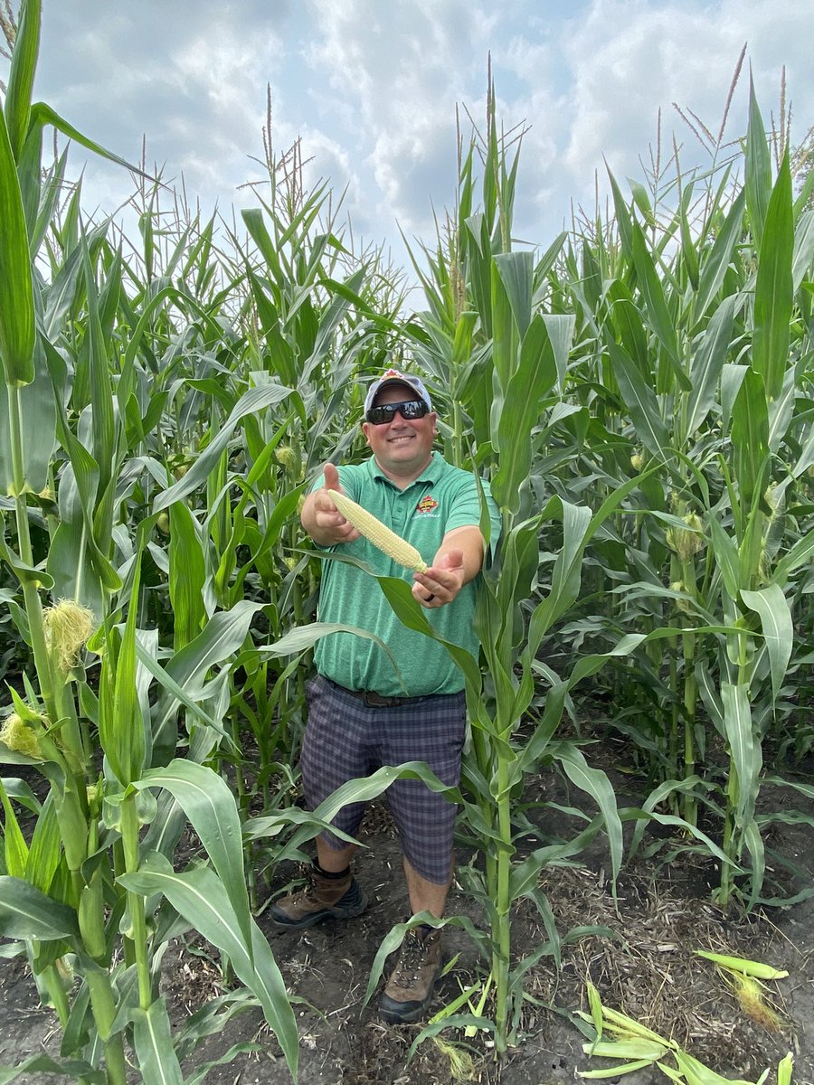 Hold it out like a fish Dave. TH 6185 looking good for July 22 with 9” cobs 16 rows w/40 kernels/row standing more than 10’ tall <a href="/thunder_seed/">Thunder Seed</a> <a href="/CameronHild/">Cameron Hildebrand</a> <a href="/bsfarmzeldon/">Eldon Klippenstein…thinking of tomorrow</a> <a href="/cndaggie/">David Chappellaz</a>