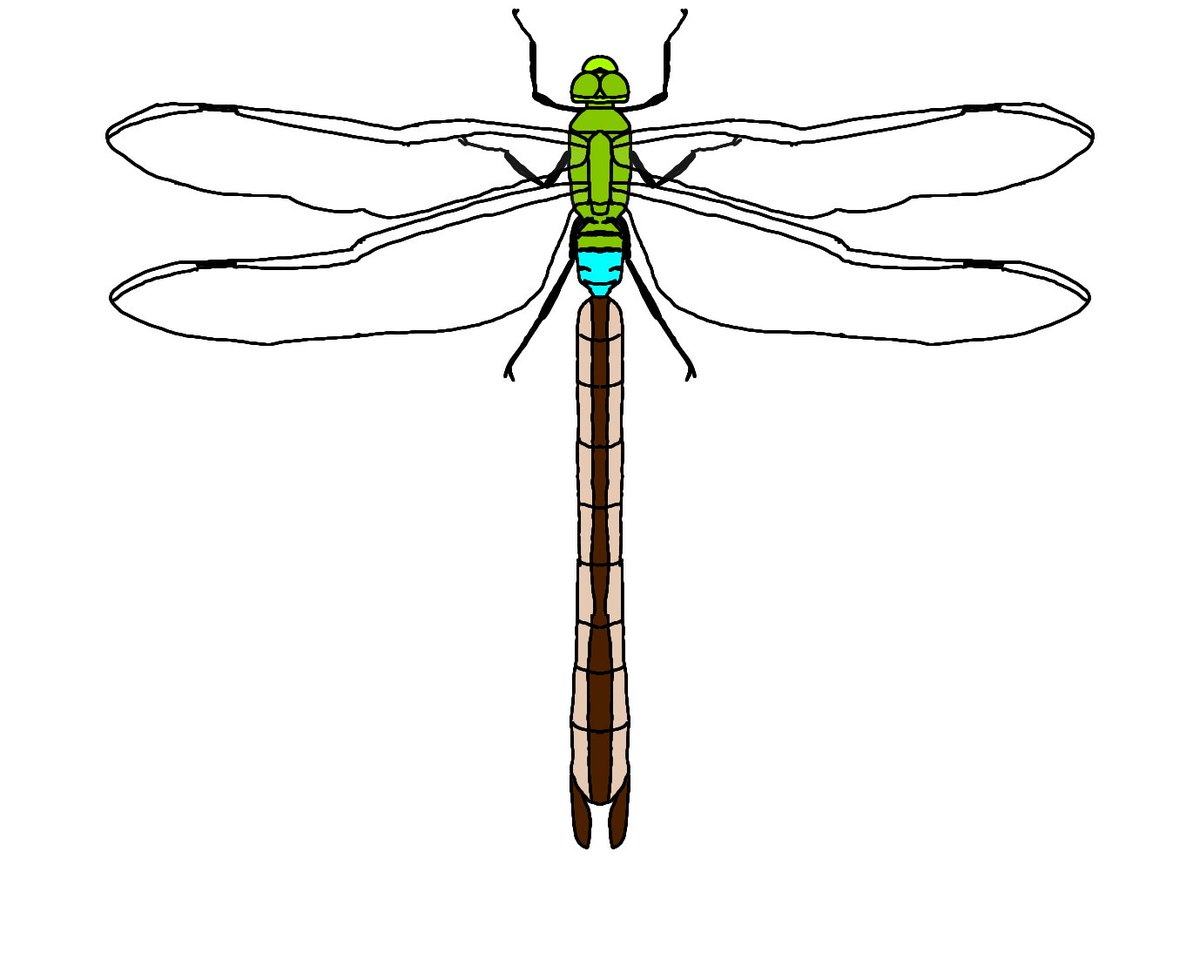 Twoucan トンボ の注目ツイート イラスト マンガ コスプレ モデル