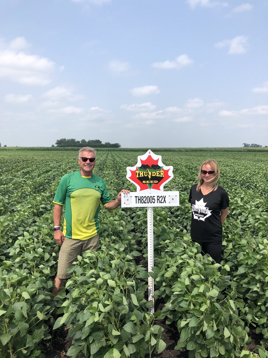 Very strong looking TH 82005 new for next year already half prodded on July 22 This will be in strong demand for 2022 get ur orders in now! ⁦<a href="/thunder_seed/">Thunder Seed</a>⁩ ⁦<a href="/cndaggie/">David Chappellaz</a>⁩ ⁦<a href="/CameronHild/">Cameron Hildebrand</a>⁩ ⁦<a href="/bsfarmzeldon/">Eldon Klippenstein…thinking of tomorrow</a>⁩