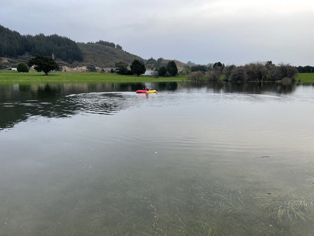 Bonus school holiday activity in out submerged paddocks