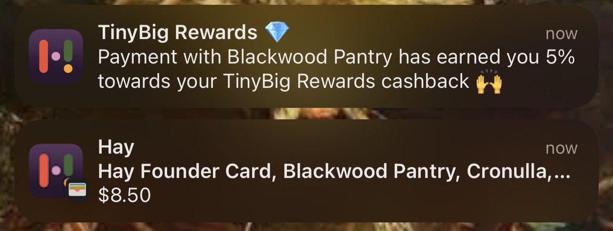 Happy National Milkshake Day 🥛🥤

Getting those #tinybig rewards from <a href="/hellohay/">Hay</a>. Remember it’s 5% cashback till the end of July 😉