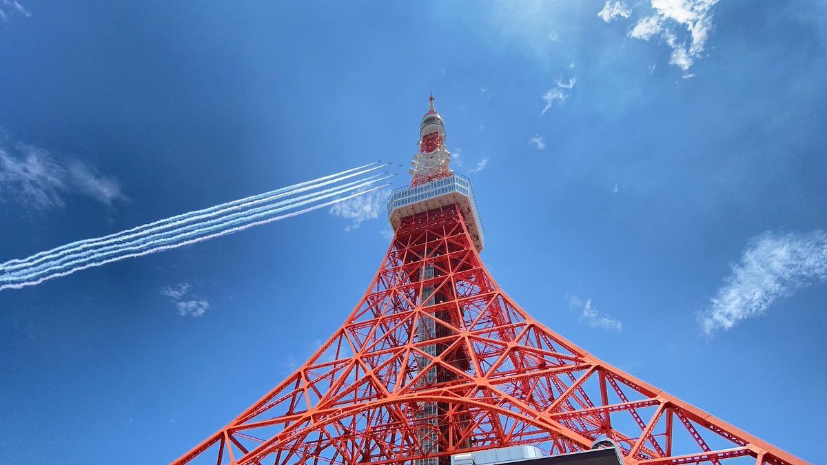 마도카*まどか tweet media