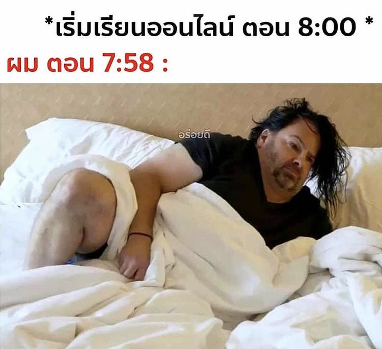 สตอรี่หมีขาว tweet media