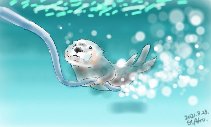 鳥羽水族館のラッコのtwitterイラスト検索結果