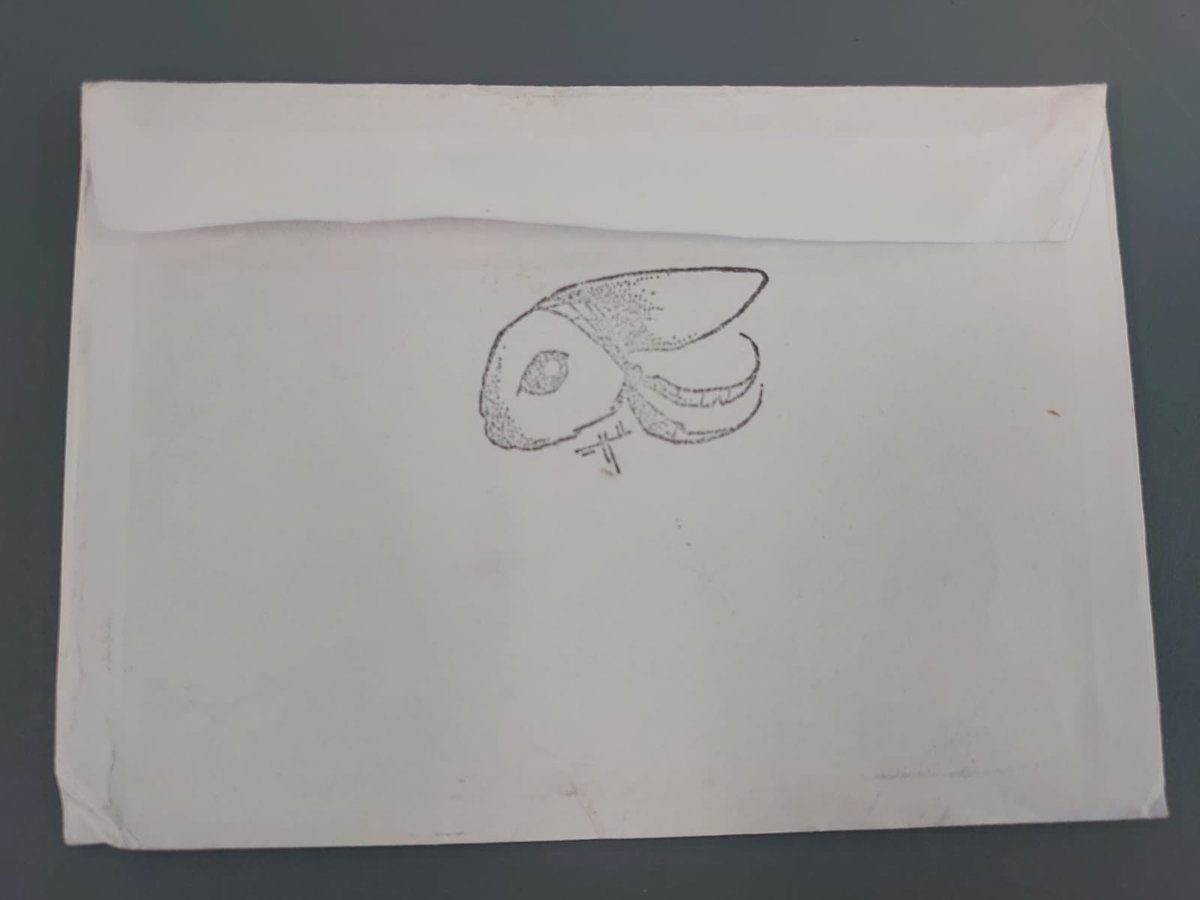 AlumwellJuniors's tweet photo. Last year, after reading Podkin One Ear, some children from 4D and 5G wrote letters to the author @kmlarwood. Due to covid, the letter has only been picked up recently but we were thrilled to receive this reply! 😱🤩🎉 #lovereading #teamalumwell #podkinoneear https://t.co/ys1CBVCQPm