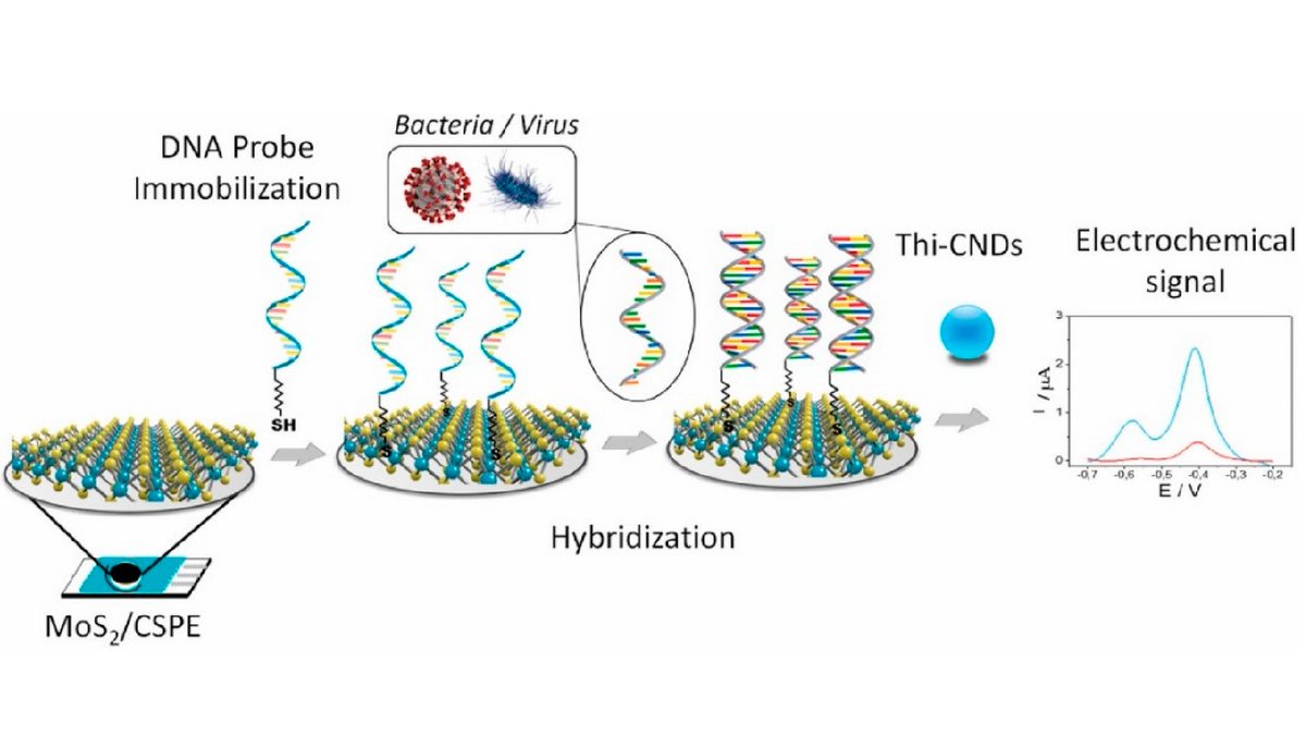 jcsmdpicom's tweet photo. Recent Advances in Two-Dimensional Transition #Metal Dichalcogenide #Nanocomposites #Biosensors for Virus Detection before and during COVID-19 Outbreak|
https://t.co/7rhABKuBfL https://t.co/dYj2vSmcuv