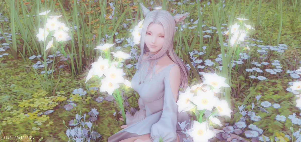 ﾐﾓｻﾞ Myau Fenrir A Twitter リーンちゃん服 可愛いミコッテだけじゃなくお姉さん系ミコッテってのうちの子にも似合うから嬉しい Ff14 Gposers Gshade Xiv Pictclip ミコッテ