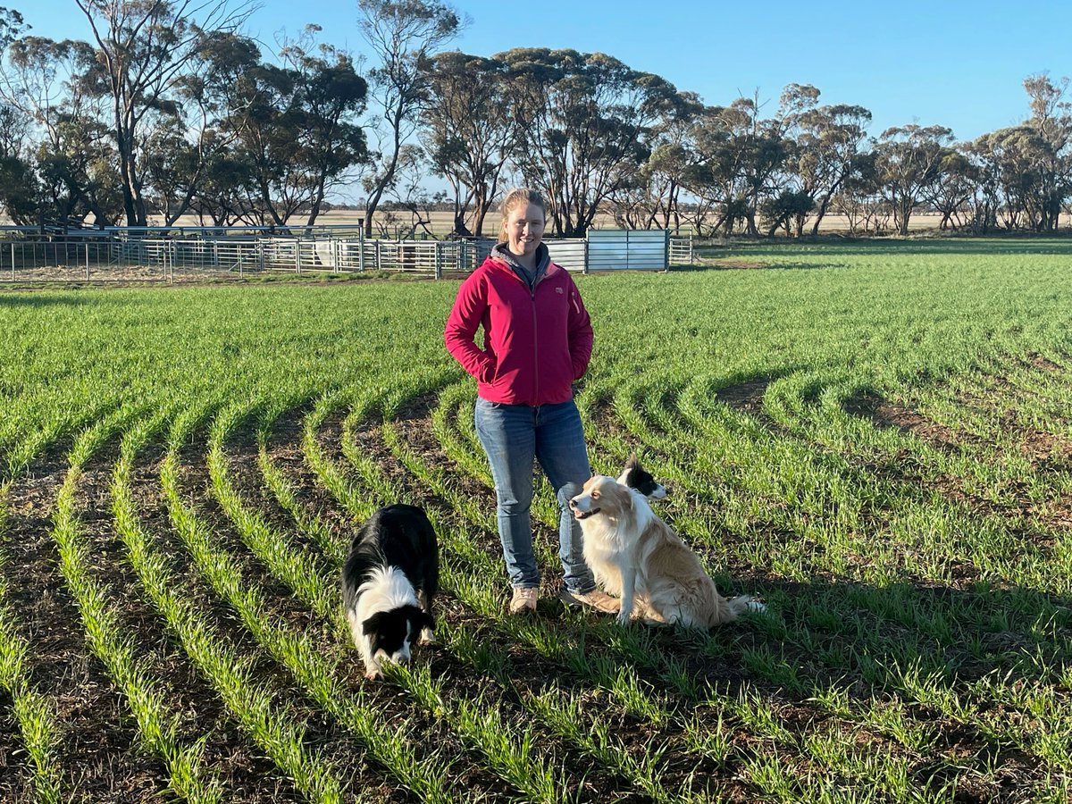 VicGovAg's tweet photo. One of our young farmer business bootcamp graduates has shared the story of her bookkeeping journey with the #VictorianConnection, it’s a great read and you can find it here https://t.co/zqM0hBNCU4 @VicGovDJPR https://t.co/VyIznoIGfe