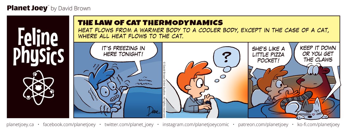 planet_joey's tweet photo. Planet Joey #70 is another edition of the semi-regular feature, Feline Physics.
#PlanetJoey #FelinePhysics #Comics #ComicStrips #webcomics #webcomic #IndieComics #Webtoons #WebcomicsFeed #Cartoons https://t.co/AWHS4QCqAT