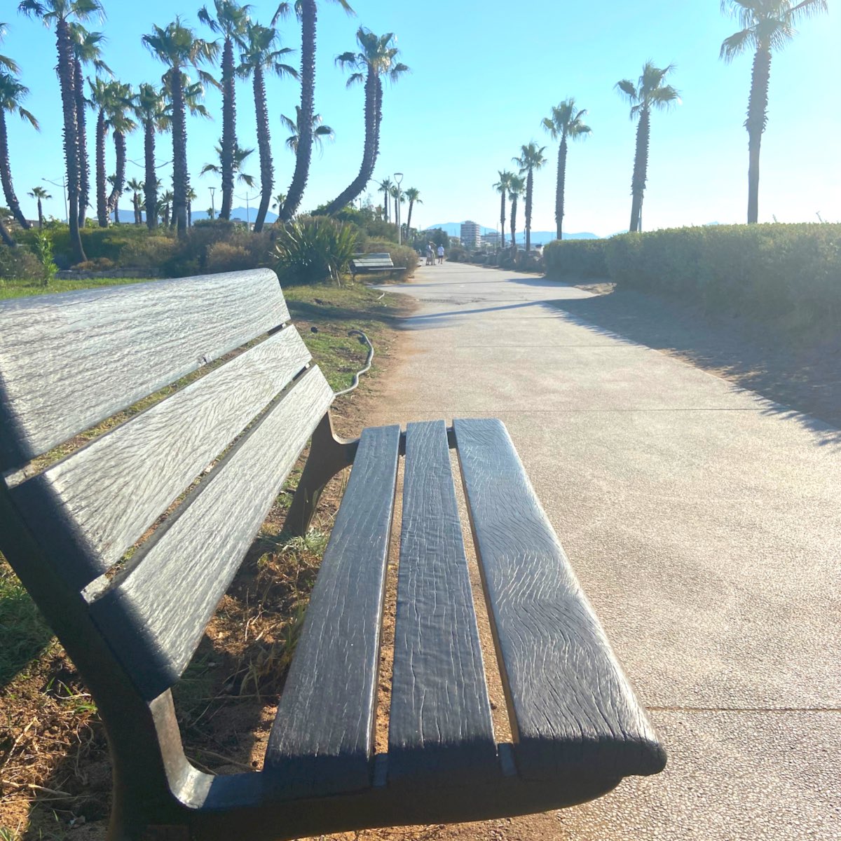NathalieTORNEL's tweet photo. Bonjour de #Frejus ! C’est une belle journée qui commence sur #CotedAzurFrance ☀️#douceurdumatin #baladesympa #respire #slowtravel #basenature #onatousbesoindusud #changezdedecor https://t.co/Cr9Cide1Dx