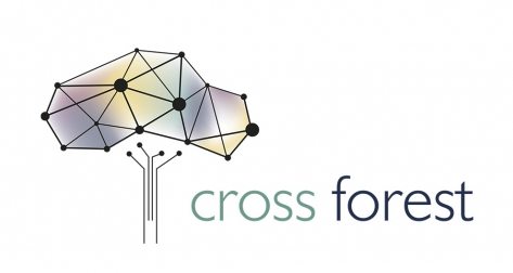 🌳 Hoy en nuestro blog analizamos <a href="/_CrossForest/">Cross-Forest</a>, un proyecto para publicar y combinar #datosabiertos de inventarios y mapas forestales, con el fin de impulsar modelos que faciliten la gestión y la protección de los bosques. Descubre más: bit.ly/3Brcwzw