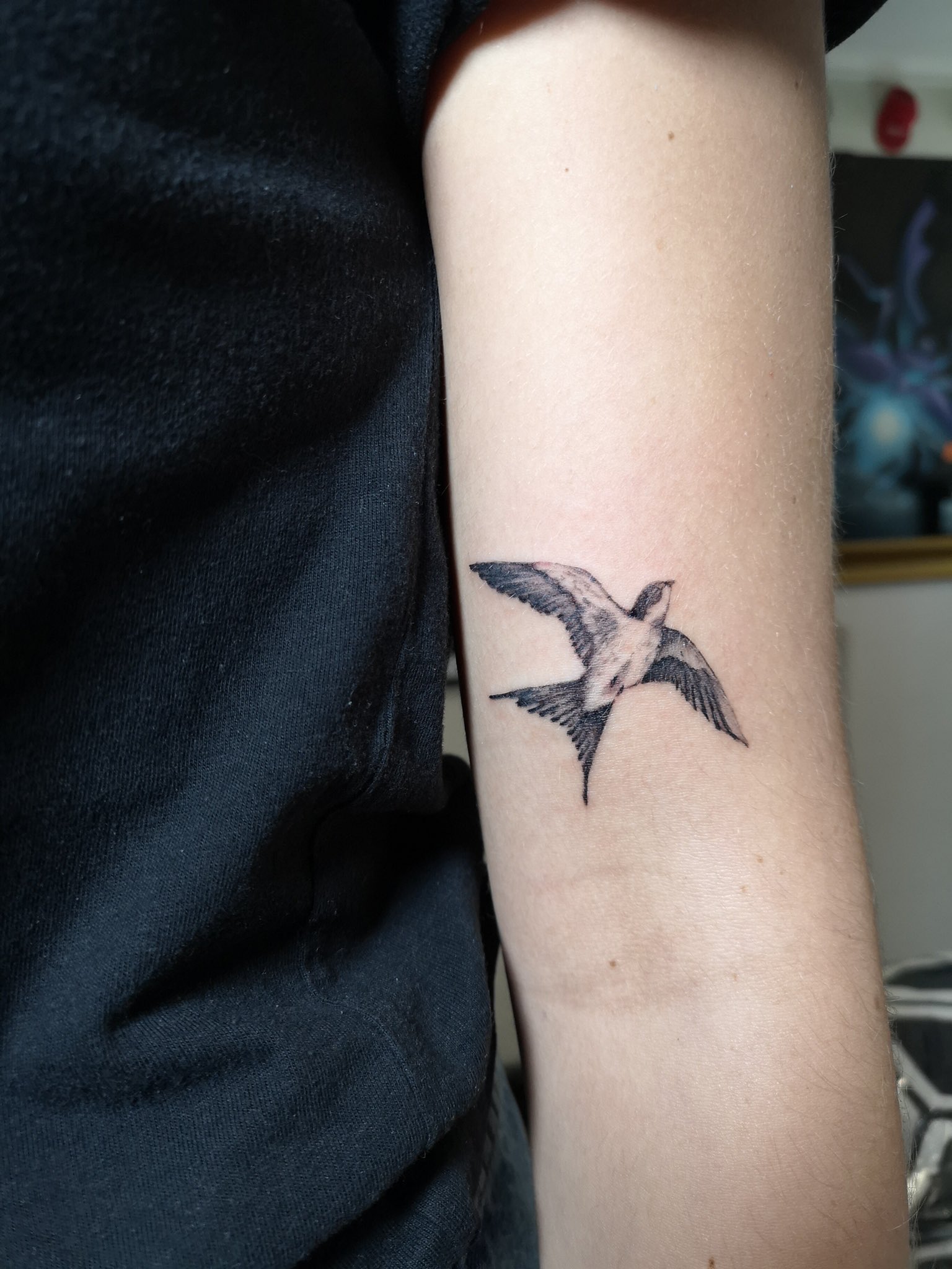 50 Bird Tattoo Ideas