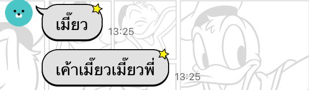 แมว🐱