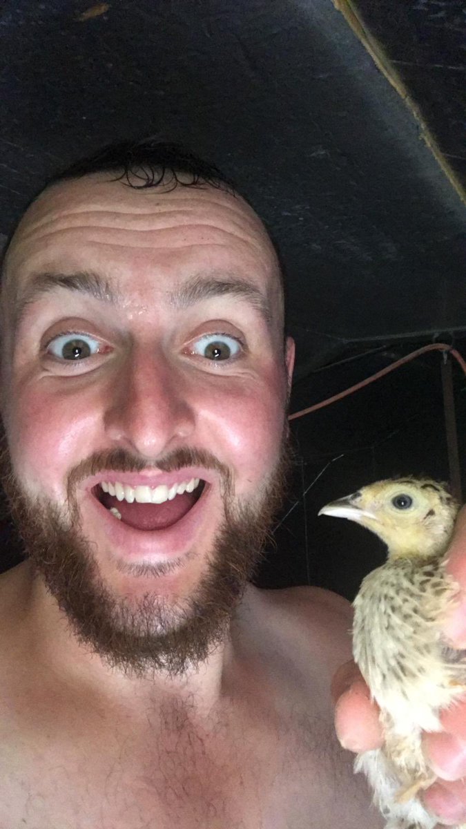 eweturnpod's tweet photo. Find us on Facebook and Instagram @eweturnpod and be sure to subscribe on Spotify and Apple podcasts to never miss an episode! 

Enjoy!

#taketimeandbenice #farminguk #agriculture #backbritishfarming #agri #lionsrugby #paintballing #stiffy #Builth #mentalhealth #eweturn https://t.co/uGRqIHxAte
