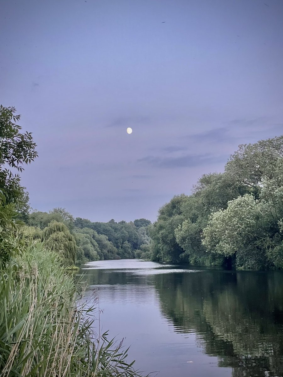 David Knowles Photography tweet media