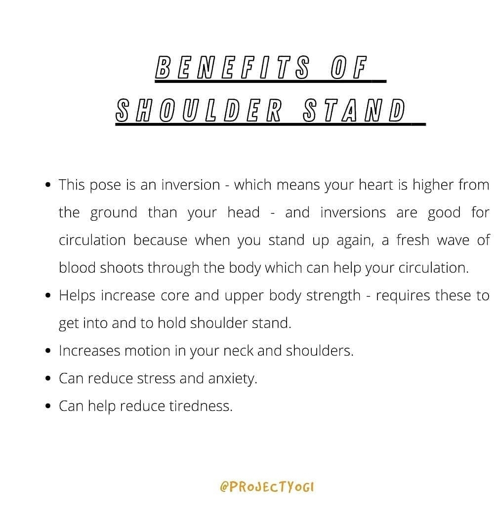 Project Yogi tweet media