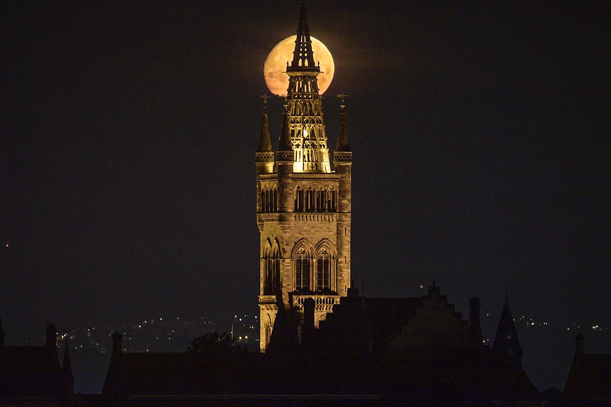 Beautiful photo of the moon behind  the UofG tower. 🌕

Photo credit: <a href="/wats67/">Wattie Cheung</a>