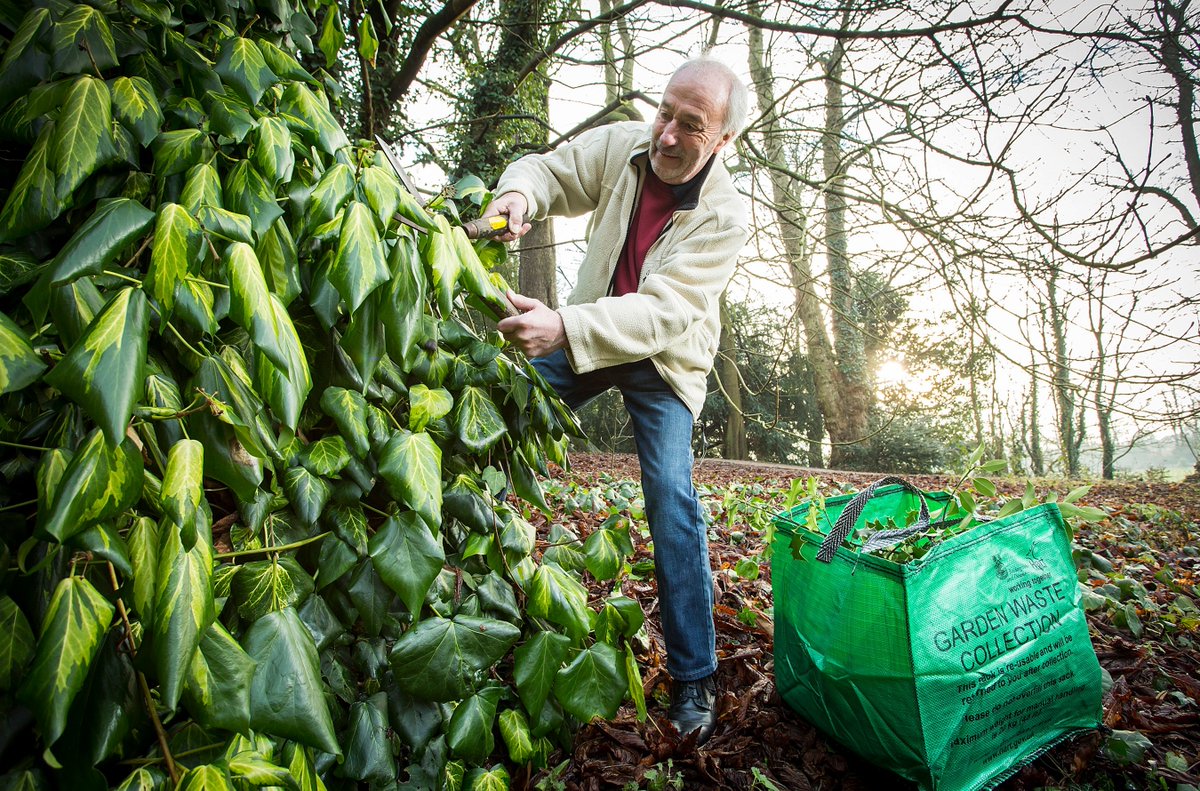 BasingstokeGov's tweet photo. Garden waste collections will have to be suspended in the borough next week due to more waste collection staff having to self-isolate, after a loader who worked with two different crews, with no symptoms, has today tested positive: Read more: https://t.co/qlJ0mjujXs https://t.co/AU8pMPEpzo