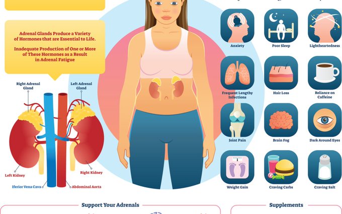 week_weightloss's tweet photo. This Adrenal Fatigue is a common issue in every person one’s life as it is caused due to stress or fear, So keep your adrenal function of your body healthy with us.
To know more - https://t.co/BvkIsX6gzf 
#AdrenalFatigue https://t.co/RgMJCsgzVO