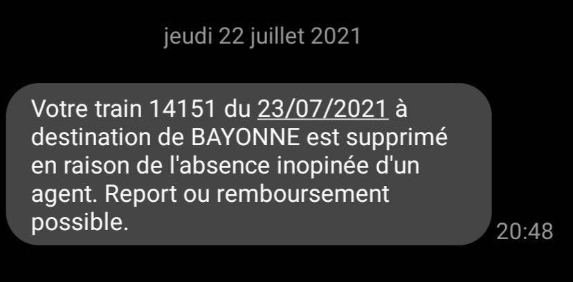 ArnoErnst's tweet photo. Les bras m'en tombent ! La veille d'un grand we de départ en vacances... "l'absence inopinée d'un agent" #unseuletrevousmanque #legerete #irresponsabilite Evidemment plus de place sur les autres trains...@SNCF @ouisncf @evoyageursSNCF @SNCFReseau @SNCF_Digital @60millions https://t.co/2Brb6ThYpl