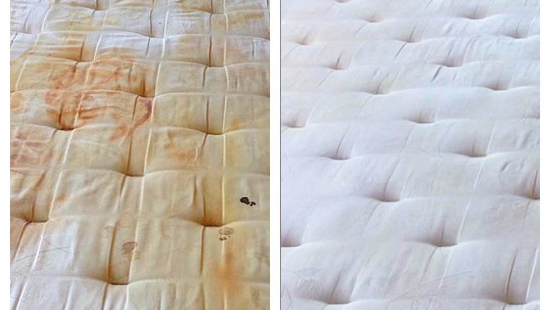 ReadingCheap's tweet image. Mattresses can harbor dust mites, dead skin, dirt, and other debris, which means they need to be cleaned regularly—particularly if you suffer from allergies, have pets, or are just an avid midnight snacker.

 Your personal cleaner is here 👉 cheapcleaningreading.co.uk

#cleaning