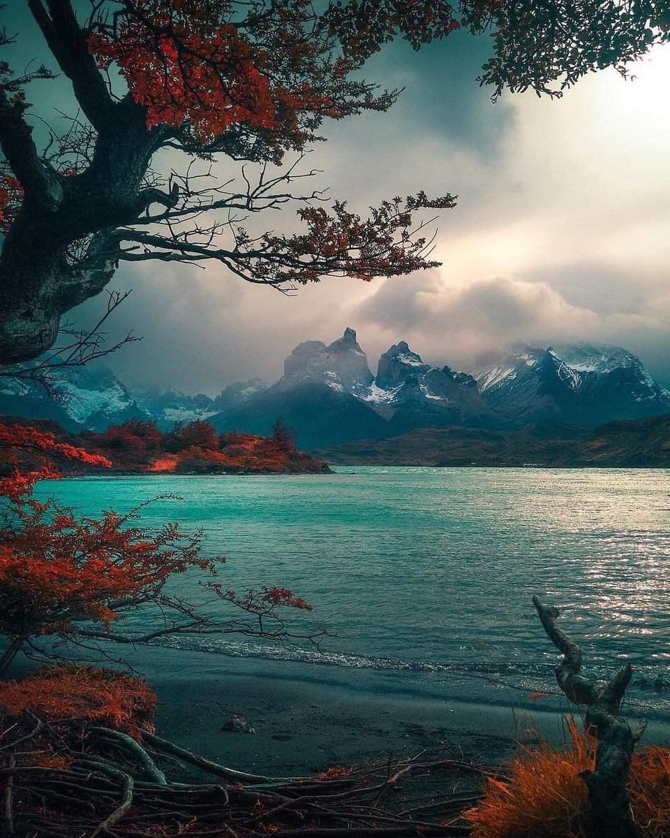 Torres del Paine, Chile... 
Photo by merveceranphoto...