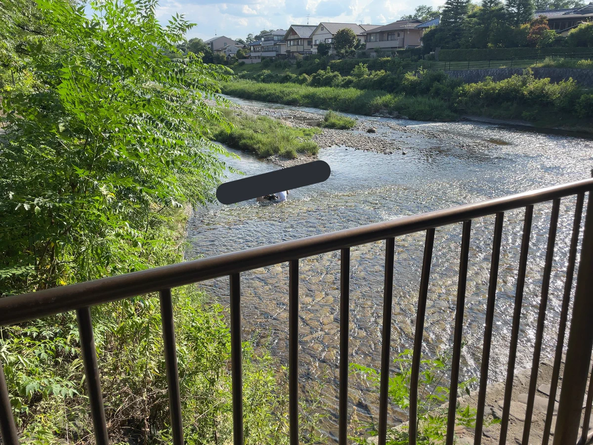 何気なく川を見てみると？とんでもない遊びをしている奴らがいたwww