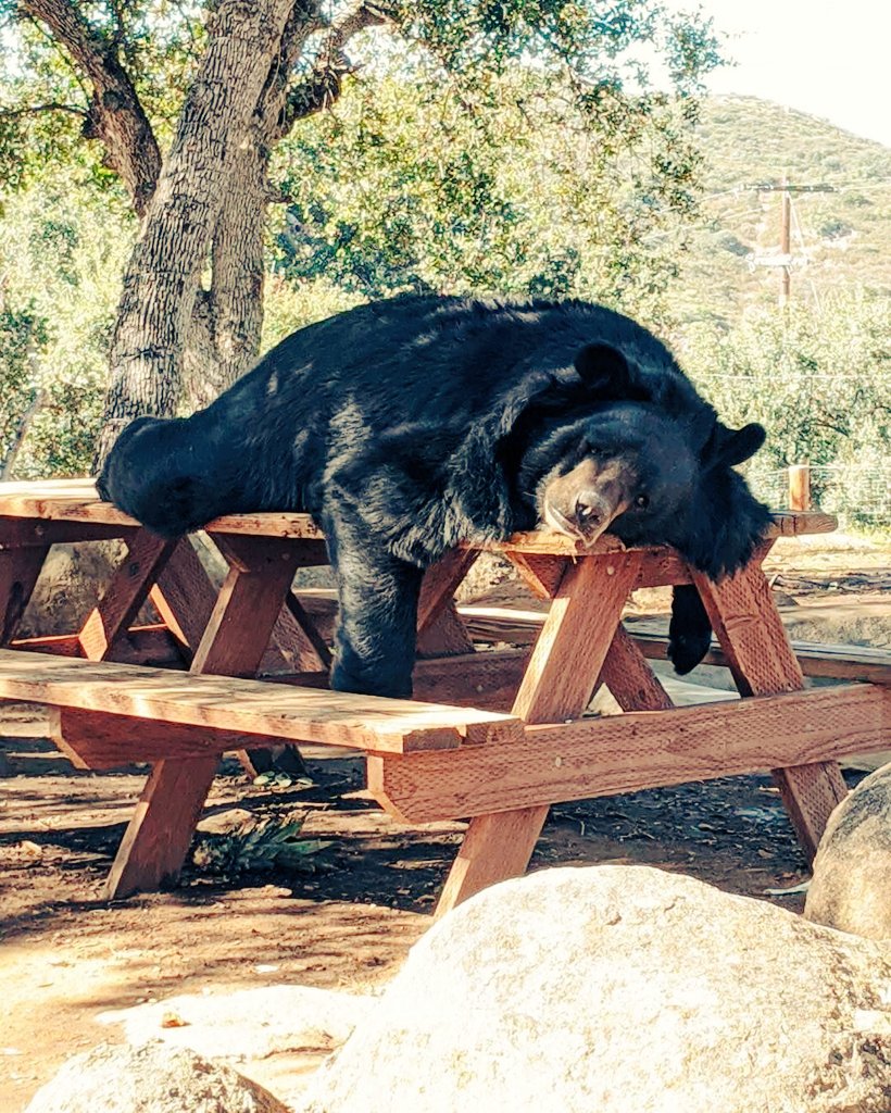 Shall we switch to weekend mode?