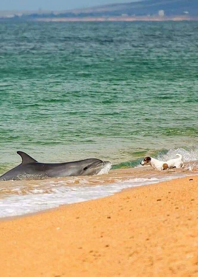 Breathtaking encounter of two worlds...