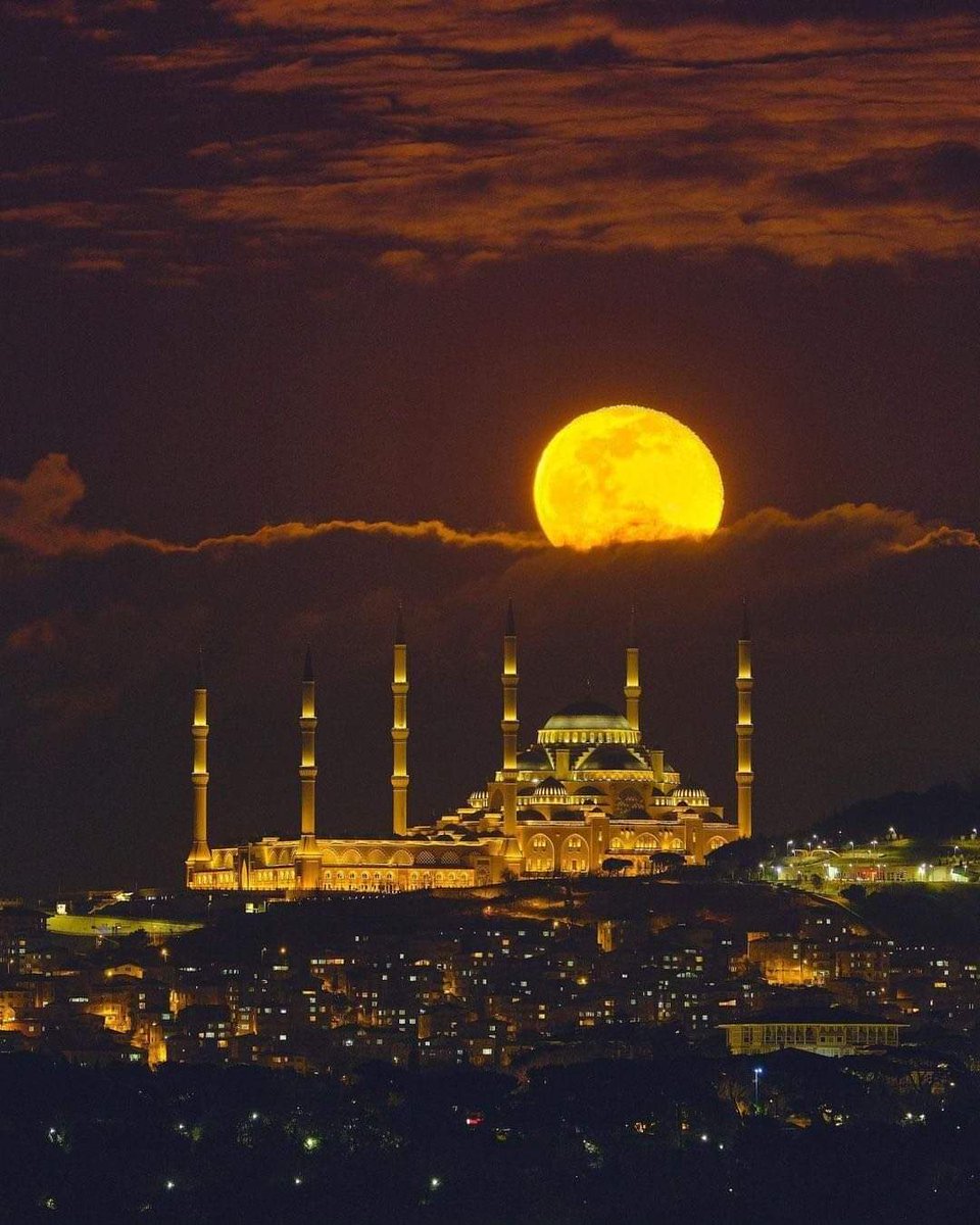 İstanbul, TURKEY... 
Photo by johannes_moths...