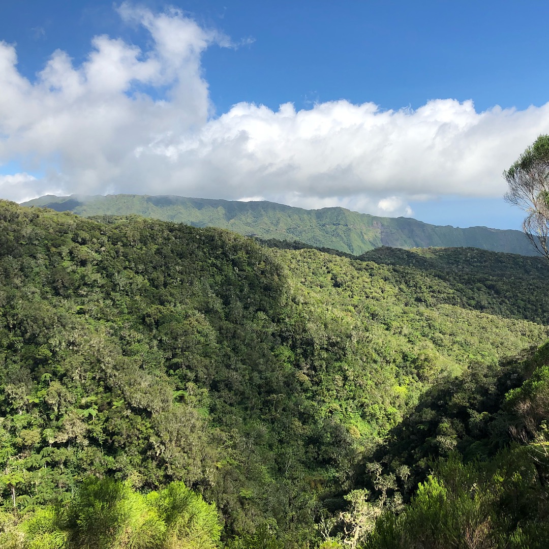 Louise Ashton tweet media