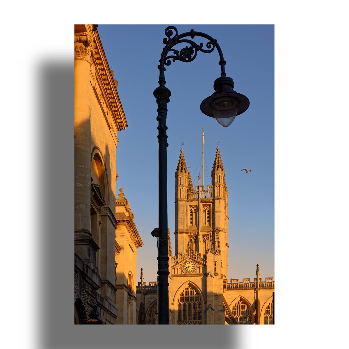 Bath Abbey bathed in golden ☀️sunshine
.
.
<a href="/visitbath/">Visit Bath</a> <a href="/bathabbey/">Bath Abbey</a> #ThePhotoHour <a href="/StormHour/">#StormHour</a> #photooftheday #goldenhour #seagull #HeatWave2021