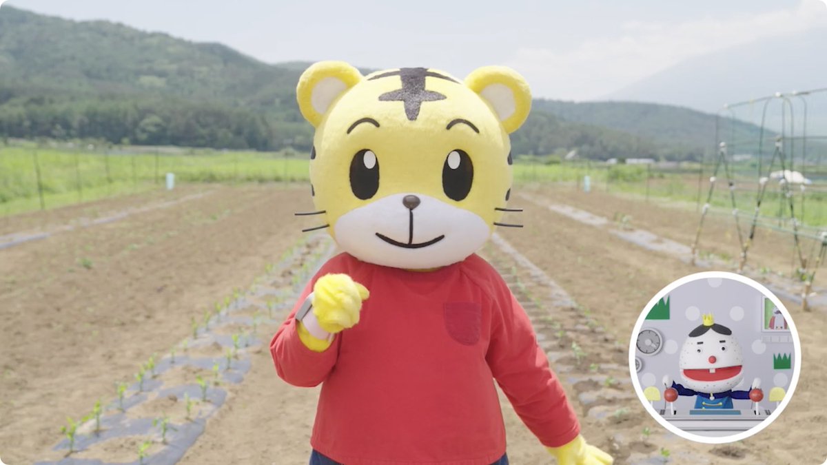 しまじろう　8.9.10.11.12月号 ten0582381671.jpg