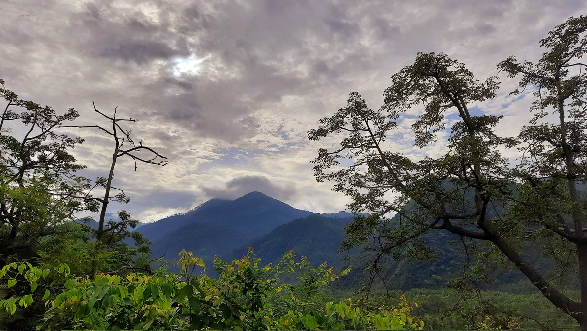 Piece of Heaven 🌸