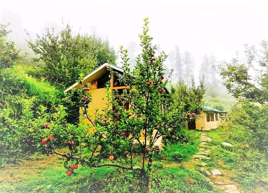 Dak_Bangla's tweet photo. Who else is ready for Mountain Biking, Jeep safari, Night Treks, Zip line, Rock Climbing, Burma Bridge, beautiful Organic Apple and a bonfire &amp; Music ?
#daakbanglaretreat #shimlalover #enchanting #magical #solitude #heaven #view #viewforview https://t.co/SCAjW93xNm