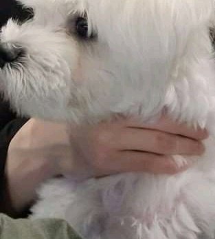 ddeonu02_'s tweet photo. Bakit ganyan yung hawak mo Jungwon😭 https://t.co/1yQSx24Dua