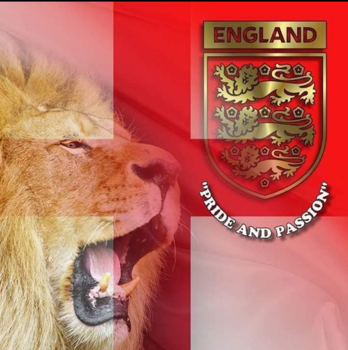 HakunaMatata26C's tweet photo. Wishing England all the very best of luck for the final tonight. Nervous as Hell..but they can do it! ๐๐ด๓ ง๓ ข๓ ฅ๓ ฎ๓ ง๓ ฟ๐ด๓ ง๓ ข๓ ฅ๓ ฎ๓ ง๓ ฟ๐โฝโฝ
#BringFootballHome https://t.co/vqj8hckkpg