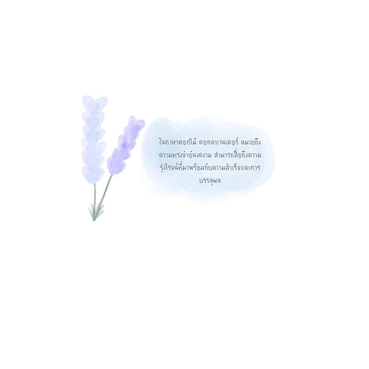 พอรอ tweet media